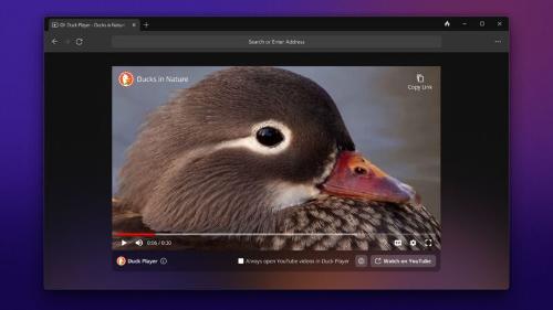 DuckDuckGo представила свой веб-браузер для Windows. Он ориентирован на приватность.