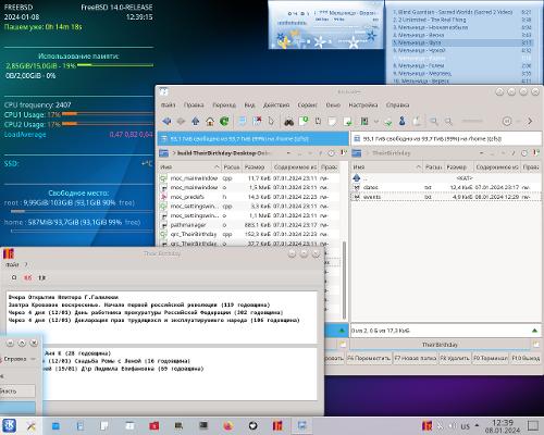 Скриншот: FreeBSD 14. Кеды, коньки, холст.